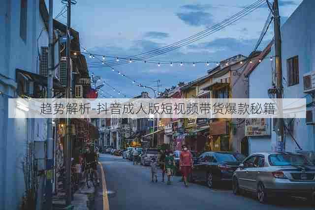 趋势解析-抖音成人版短视频带货爆款秘籍