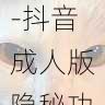 生态链条分析-抖音成人版隐秘功能使用指南