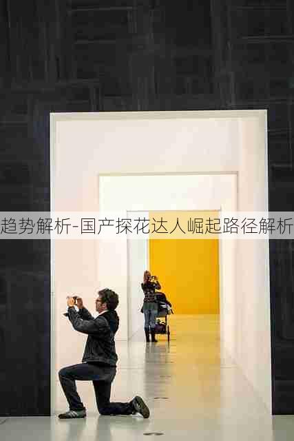 趋势解析-国产探花达人崛起路径解析