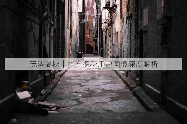 玩法揭秘|国产探花用户画像深度解析