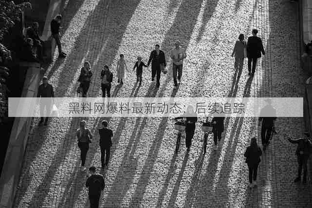 黑料网爆料最新动态：后续追踪