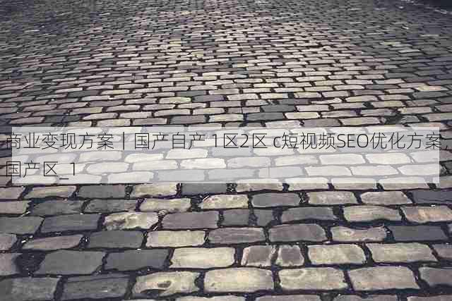 商业变现方案|国产自产 1区2区 c短视频SEO优化方案,国产区_1