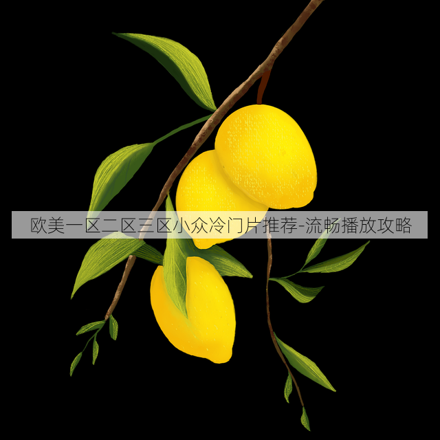 欧美一区二区三区小众冷门片推荐-流畅播放攻略