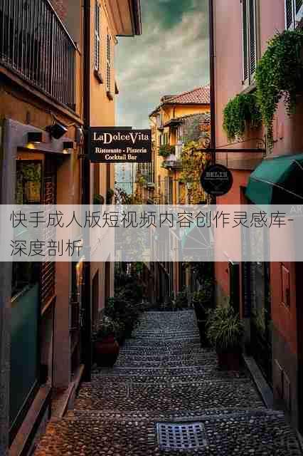 快手成人版短视频内容创作灵感库-深度剖析