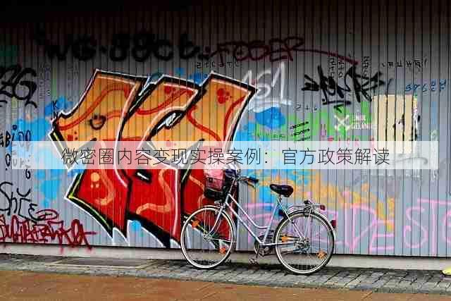 微密圈内容变现实操案例:官方政策解读