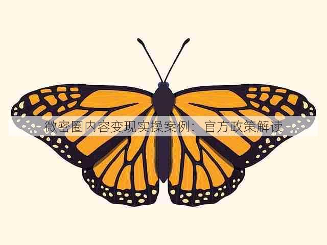 微密圈内容变现实操案例:官方政策解读
