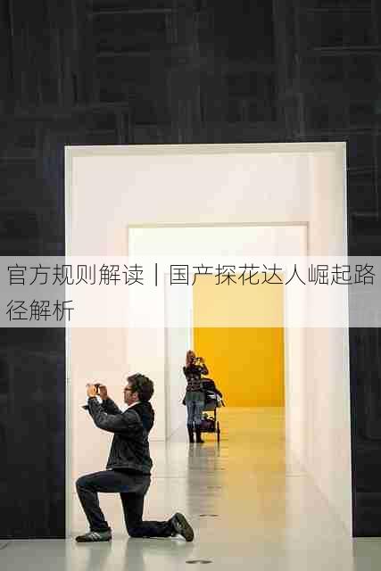 官方规则解读|国产探花达人崛起路径解析