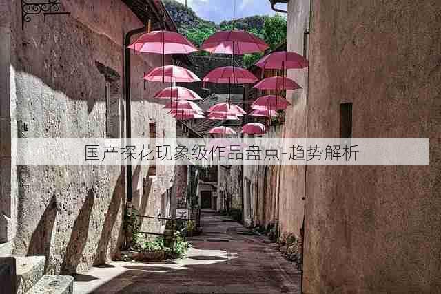 国产探花现象级作品盘点-趋势解析