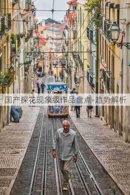 国产探花现象级作品盘点-趋势解析