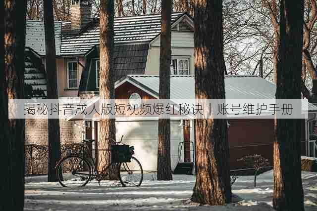揭秘抖音成人版短视频爆红秘诀｜账号维护手册