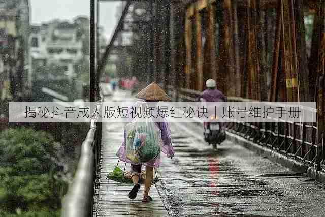 揭秘抖音成人版短视频爆红秘诀｜账号维护手册