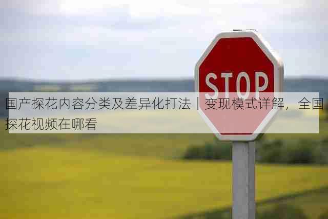 国产探花内容分类及差异化打法｜变现模式详解，全国探花视频在哪看