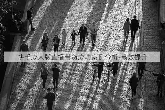 快手成人版直播带货成功案例分析-高效提升