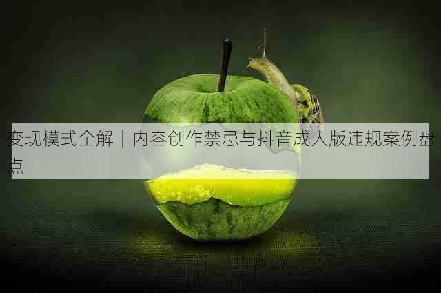 变现模式全解|内容创作禁忌与抖音成人版违规案例盘点