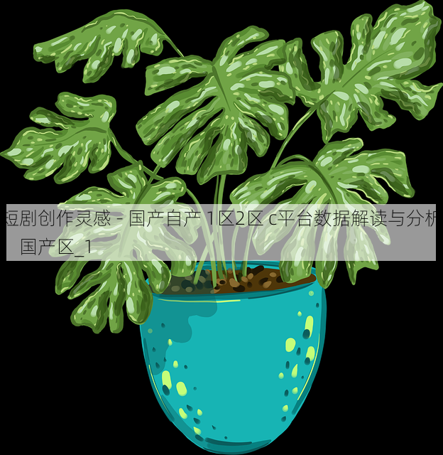 短剧创作灵感 - 国产自产 1区2区 c平台数据解读与分析,国产区_1