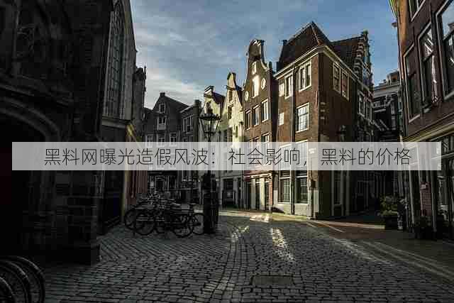 黑料网曝光造假风波：社会影响，黑料的价格