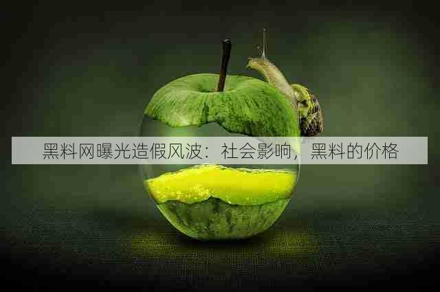黑料网曝光造假风波：社会影响，黑料的价格